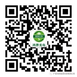 新澳门金沙娱场